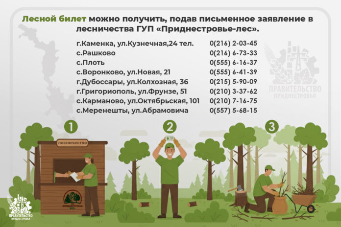 Госслужба экологического контроля, валежник, дрова