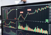 Лучшие БПИФы России: как оценить доходность и выбрать перспективные фонды Лучшие БПИФы России — 2025 рейтинг, доходность и как выбрать