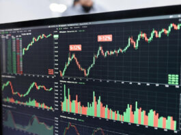 Лучшие БПИФы России: как оценить доходность и выбрать перспективные фонды Лучшие БПИФы России — 2025 рейтинг, доходность и как выбрать