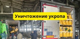 15 тонн укропа уничтожено в Молдове Уничтожение укропа