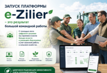На временную работу в Молдове можно зарегистрироваться через интернет e-Zilier