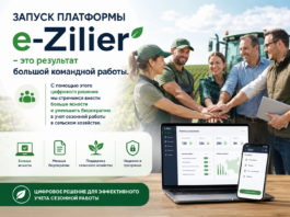 На временную работу в Молдове можно зарегистрироваться через интернет e-Zilier