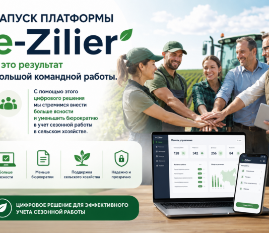 На временную работу в Молдове можно зарегистрироваться через интернет e-Zilier
