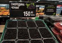 Молдавская смородина может появиться в супермаркетах Молдовы Смородина. Фото ИИ